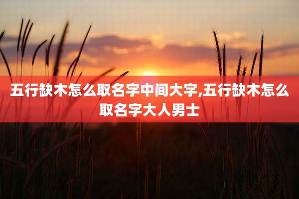 五行缺木怎么取名字中间大字,五行缺木怎么取名字大人男士
