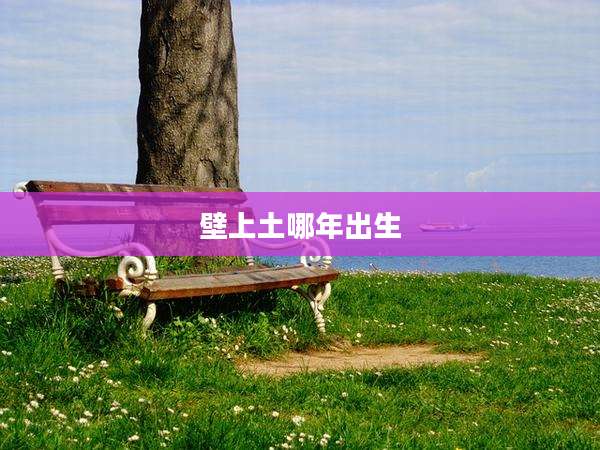 壁上土哪年出生