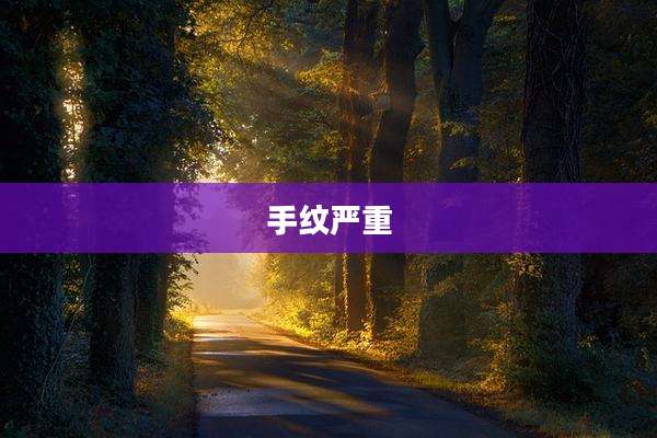 手纹严重