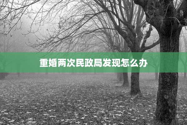 重婚两次民政局发现怎么办