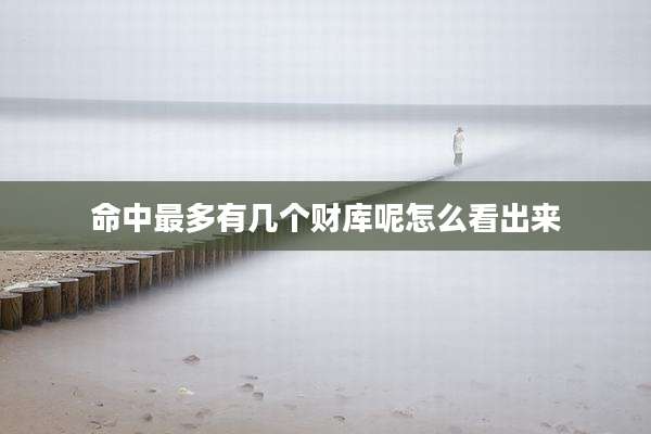 命中最多有几个财库呢怎么看出来