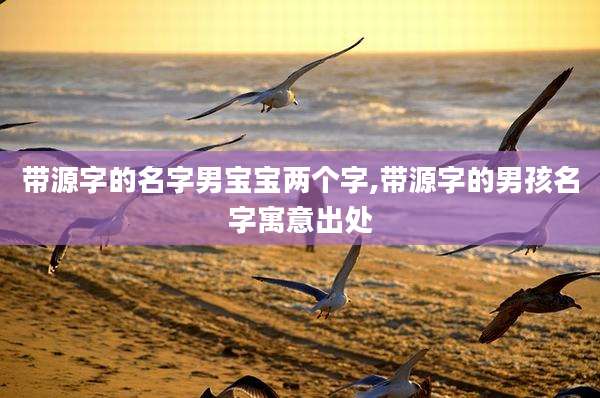 带源字的名字男宝宝两个字,带源字的男孩名字寓意出处