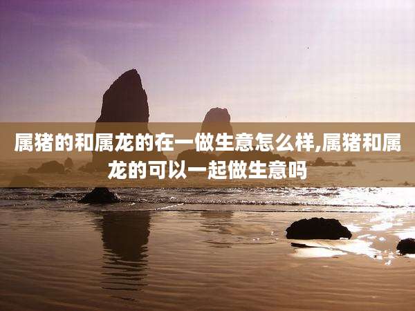 属猪的和属龙的在一做生意怎么样,属猪和属龙的可以一起做生意吗