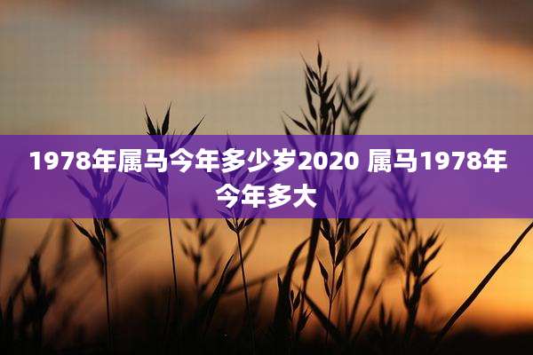 1978年属马今年多少岁2020 属马1978年今年多大
