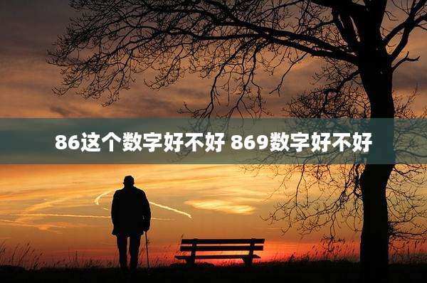 86这个数字好不好 869数字好不好