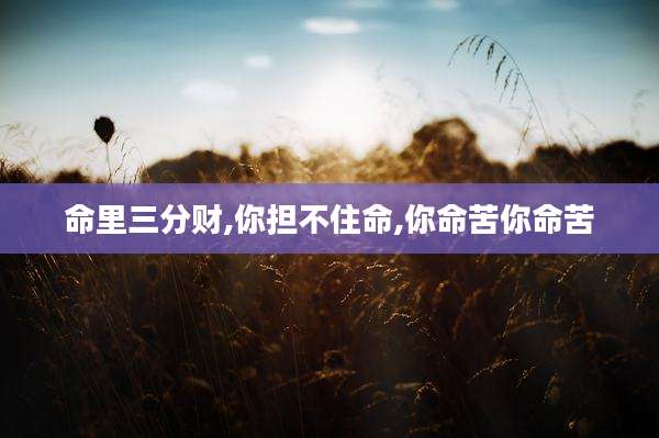 命里三分财,你担不住命,你命苦你命苦