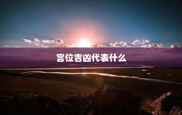 宫位吉凶代表什么