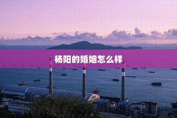杨阳的婚姻怎么样
