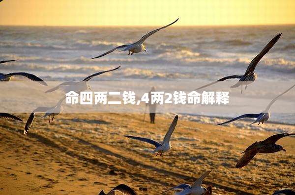 命四两二钱,4两2钱命解释