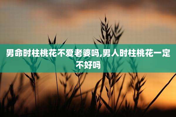 男命时柱桃花不爱老婆吗,男人时柱桃花一定不好吗
