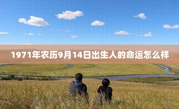 1971年农历9月14日出生人的命运怎么样