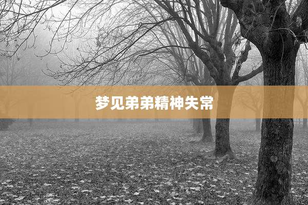 梦见弟弟精神失常