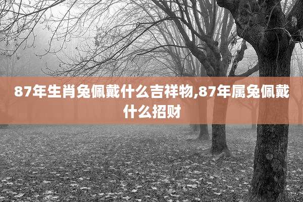 87年生肖兔佩戴什么吉祥物,87年属兔佩戴什么招财