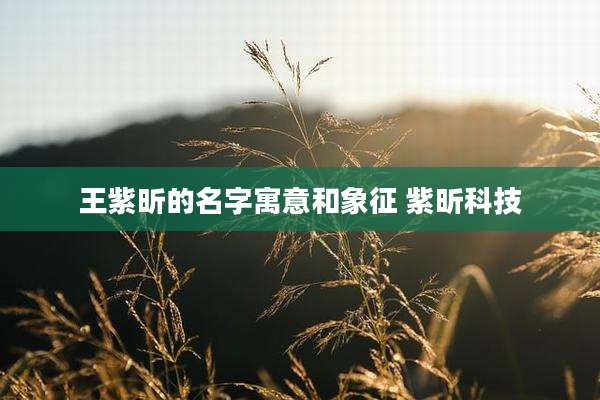 王紫昕的名字寓意和象征 紫昕科技