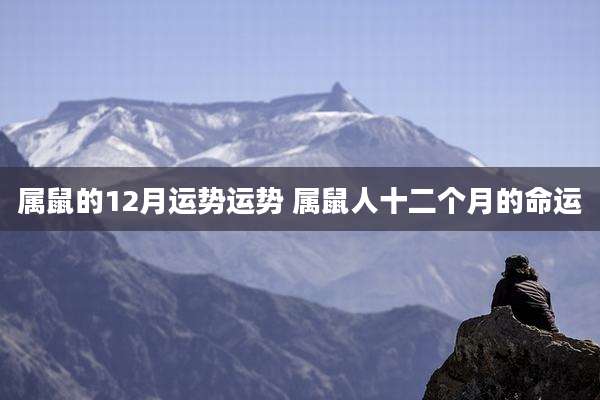 属鼠的12月运势运势 属鼠人十二个月的命运