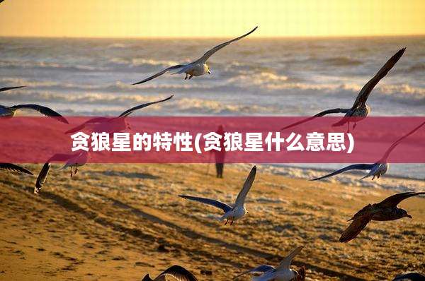 贪狼星的特性(贪狼星什么意思)