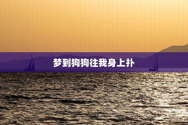 梦到狗狗往我身上扑