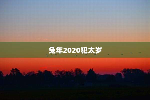 兔年2020犯太岁