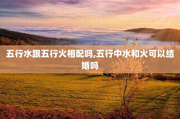 五行水跟五行火相配吗,五行中水和火可以结婚吗