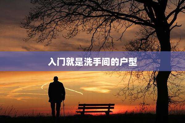 入门就是洗手间的户型