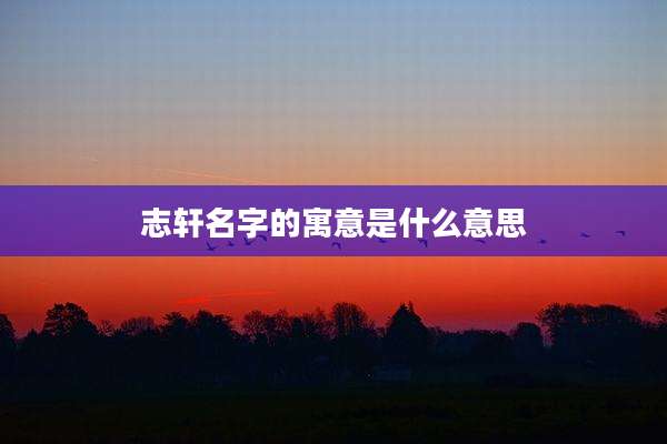 志轩名字的寓意是什么意思