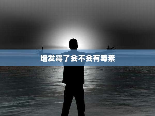墙发霉了会不会有毒素