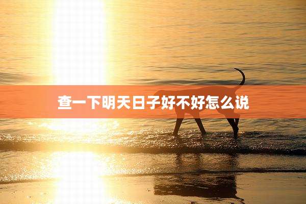 查一下明天日子好不好怎么说
