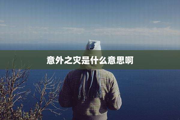 意外之灾是什么意思啊