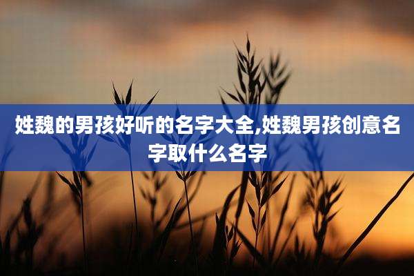 姓魏的男孩好听的名字大全,姓魏男孩创意名字取什么名字