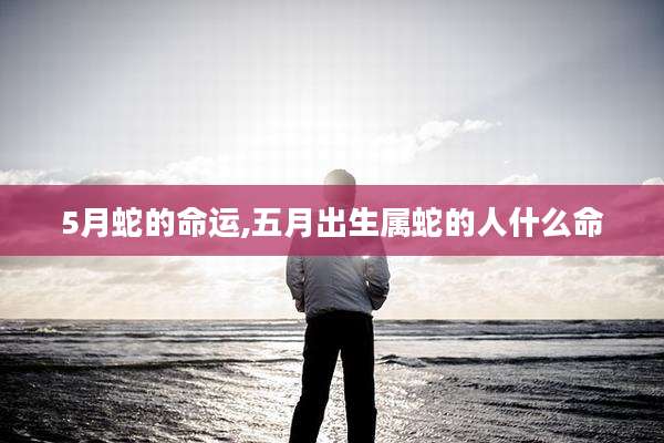 5月蛇的命运,五月出生属蛇的人什么命