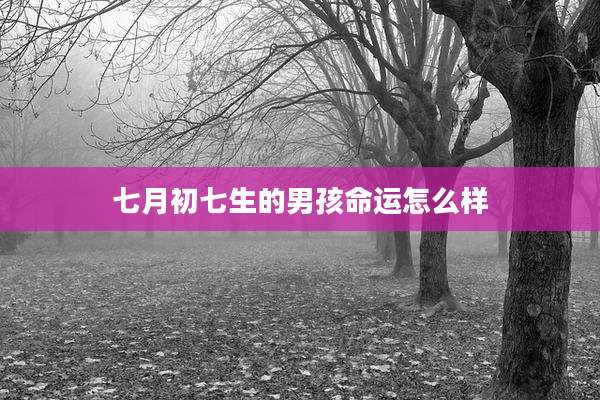 七月初七生的男孩命运怎么样