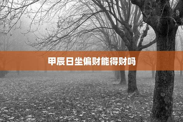甲辰日坐偏财能得财吗