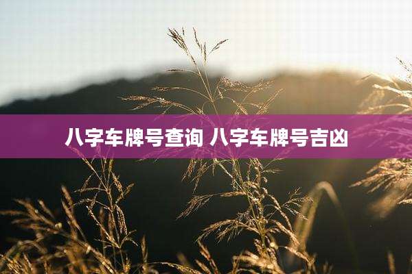 八字车牌号查询 八字车牌号吉凶