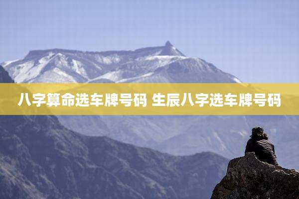 八字算命选车牌号码 生辰八字选车牌号码