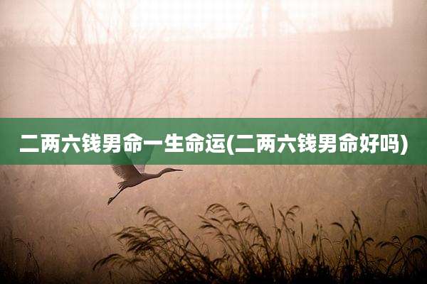 二两六钱男命一生命运(二两六钱男命好吗)