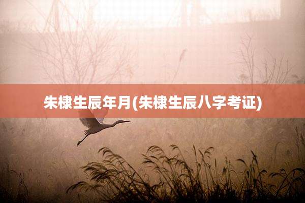 朱棣生辰年月(朱棣生辰八字考证)
