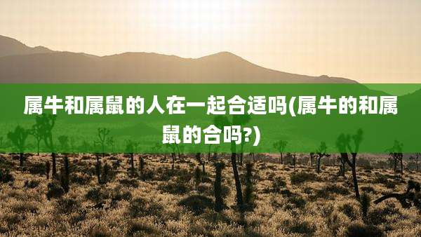 属牛和属鼠的人在一起合适吗(属牛的和属鼠的合吗?)