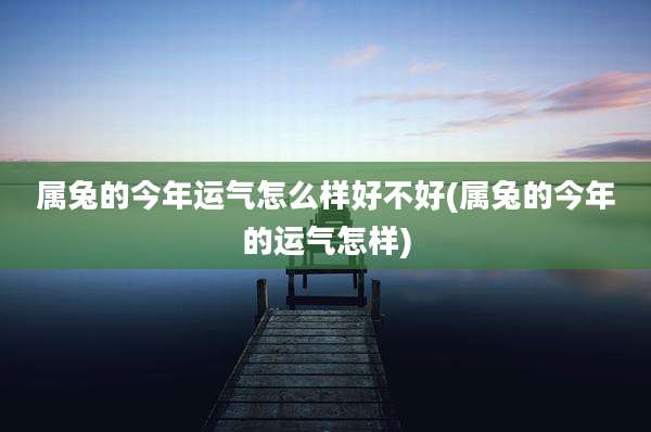 属兔的今年运气怎么样好不好(属兔的今年的运气怎样)