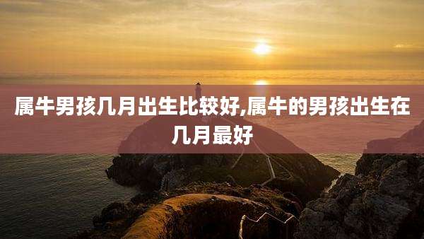 属牛男孩几月出生比较好,属牛的男孩出生在几月最好