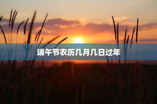 端午节农历几月几日过年