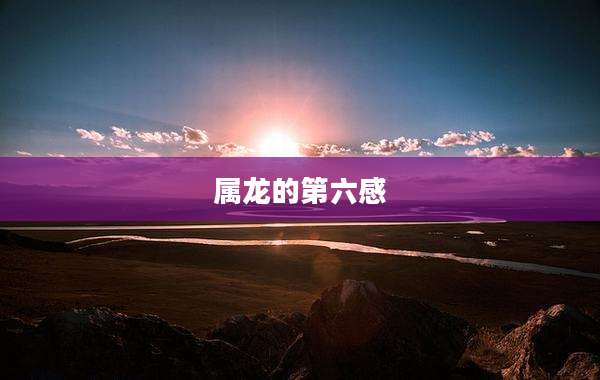 属龙的第六感