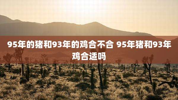 95年的猪和93年的鸡合不合 95年猪和93年鸡合适吗