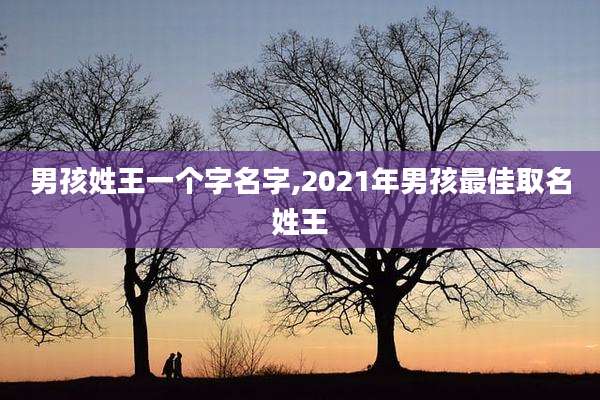 男孩姓王一个字名字,2021年男孩最佳取名姓王