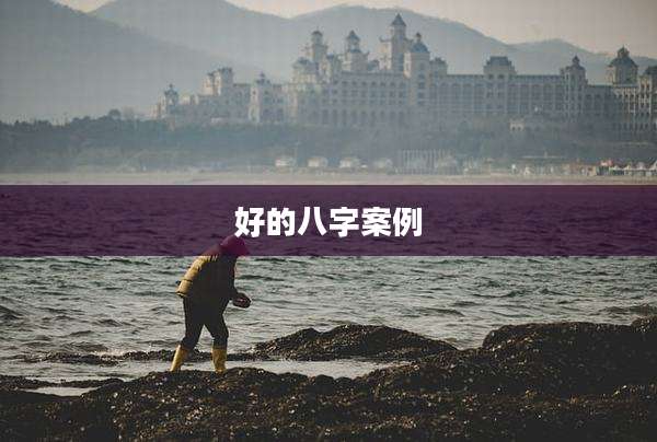 好的八字案例