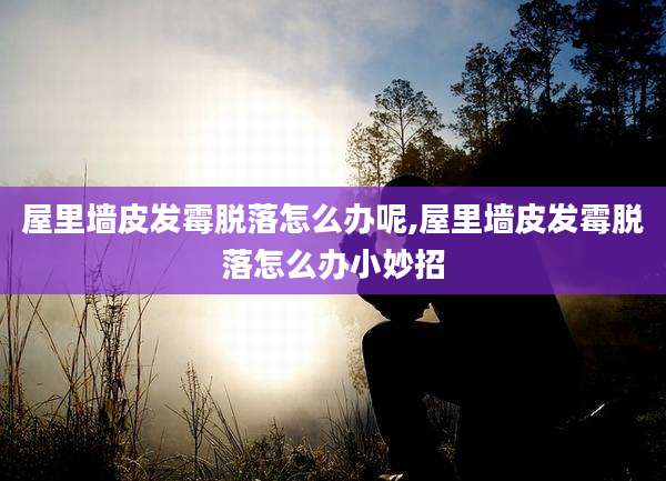 屋里墙皮发霉脱落怎么办呢,屋里墙皮发霉脱落怎么办小妙招