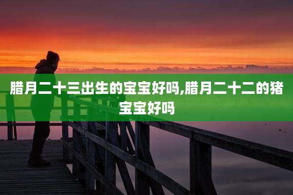 腊月二十三出生的宝宝好吗,腊月二十二的猪宝宝好吗