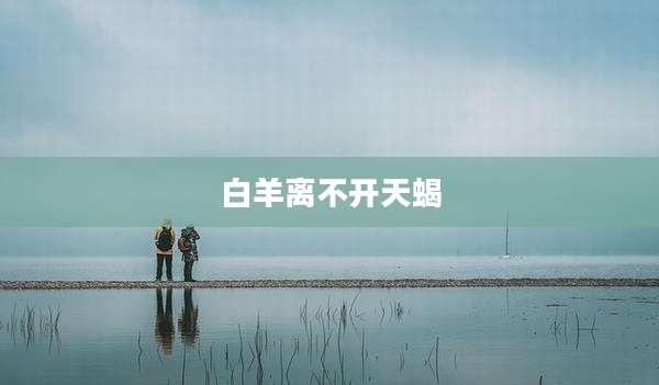 白羊离不开天蝎