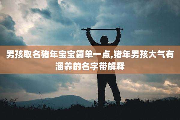 男孩取名猪年宝宝简单一点,猪年男孩大气有涵养的名字带解释