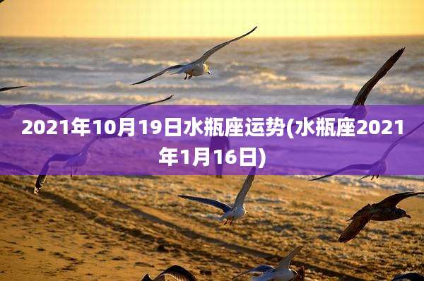 2021年10月19日水瓶座运势(水瓶座2021年1月16日)