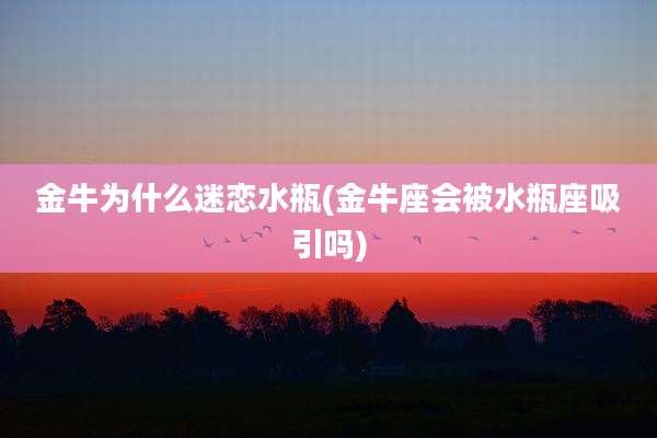 金牛为什么迷恋水瓶(金牛座会被水瓶座吸引吗)